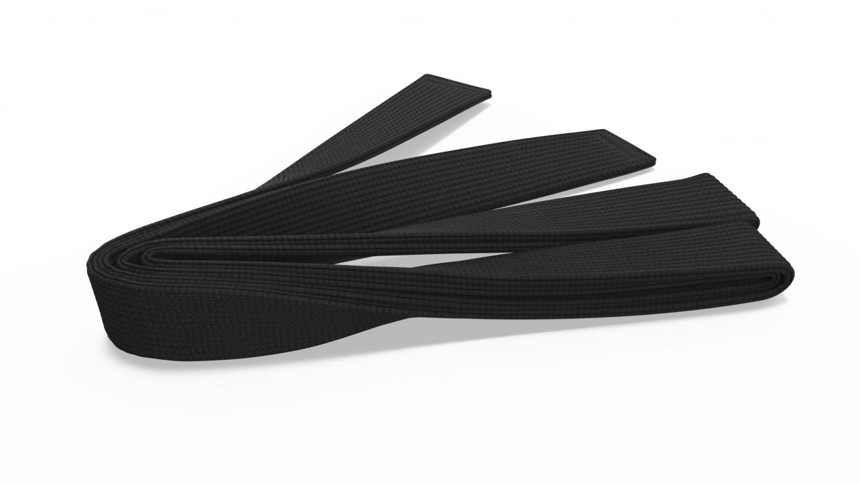 Black Martial Arts Obi Belt 3D