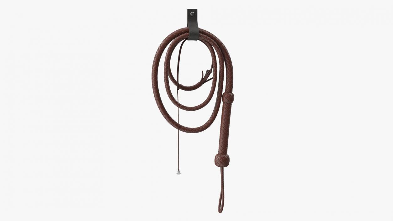 Brown Cowboy Whip Holstered 3D