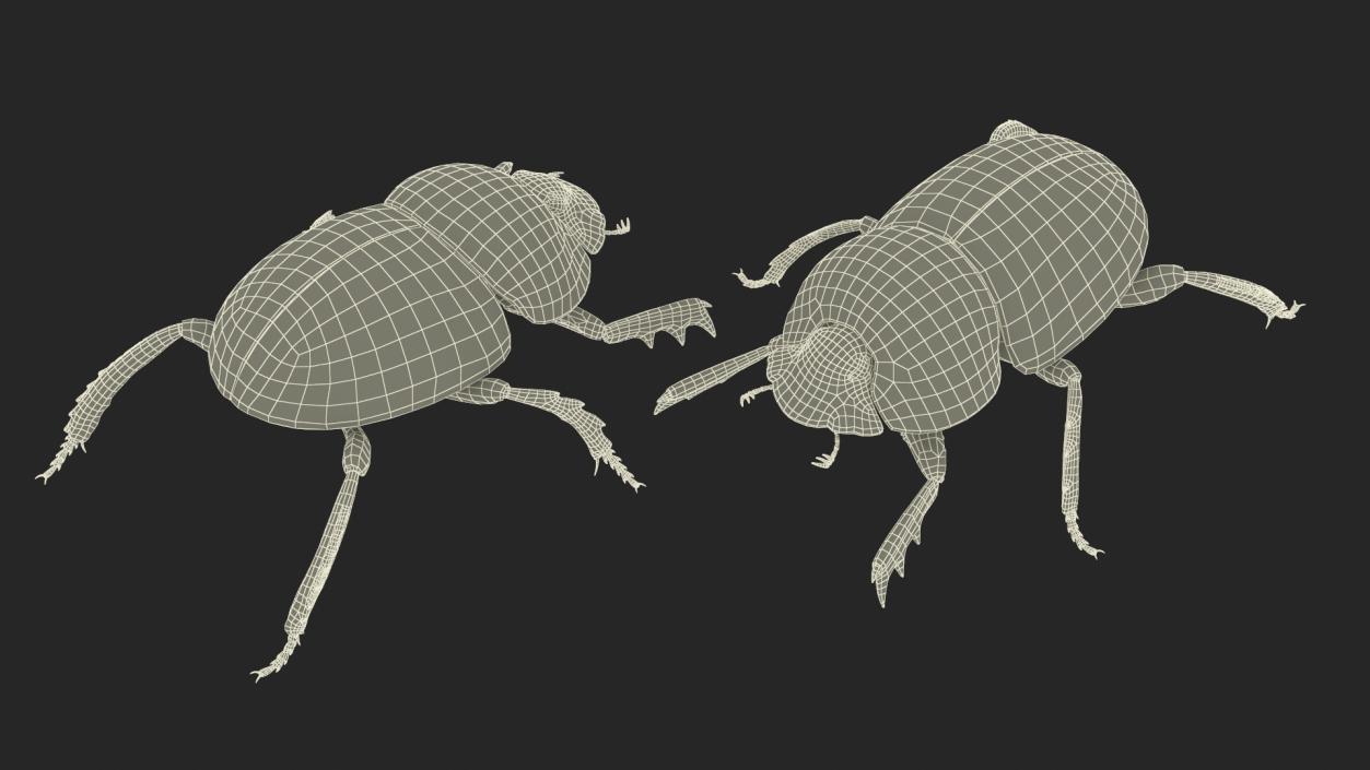 3D model Roller Beetle Rigged