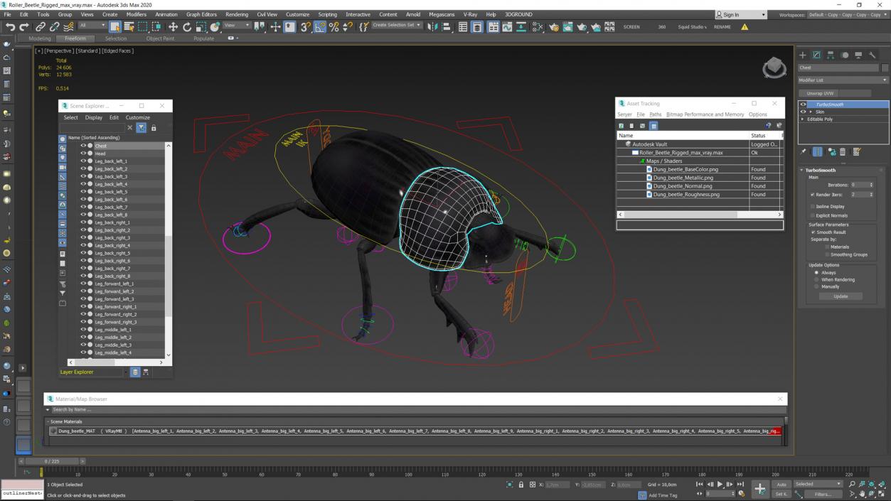 3D model Roller Beetle Rigged