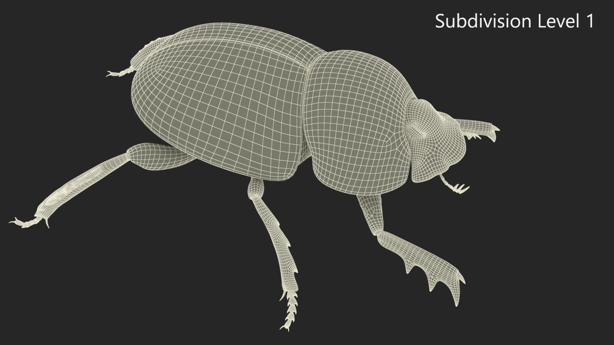 3D model Roller Beetle Rigged