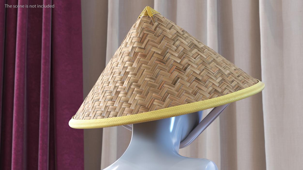 Asian Conical Hat 3D