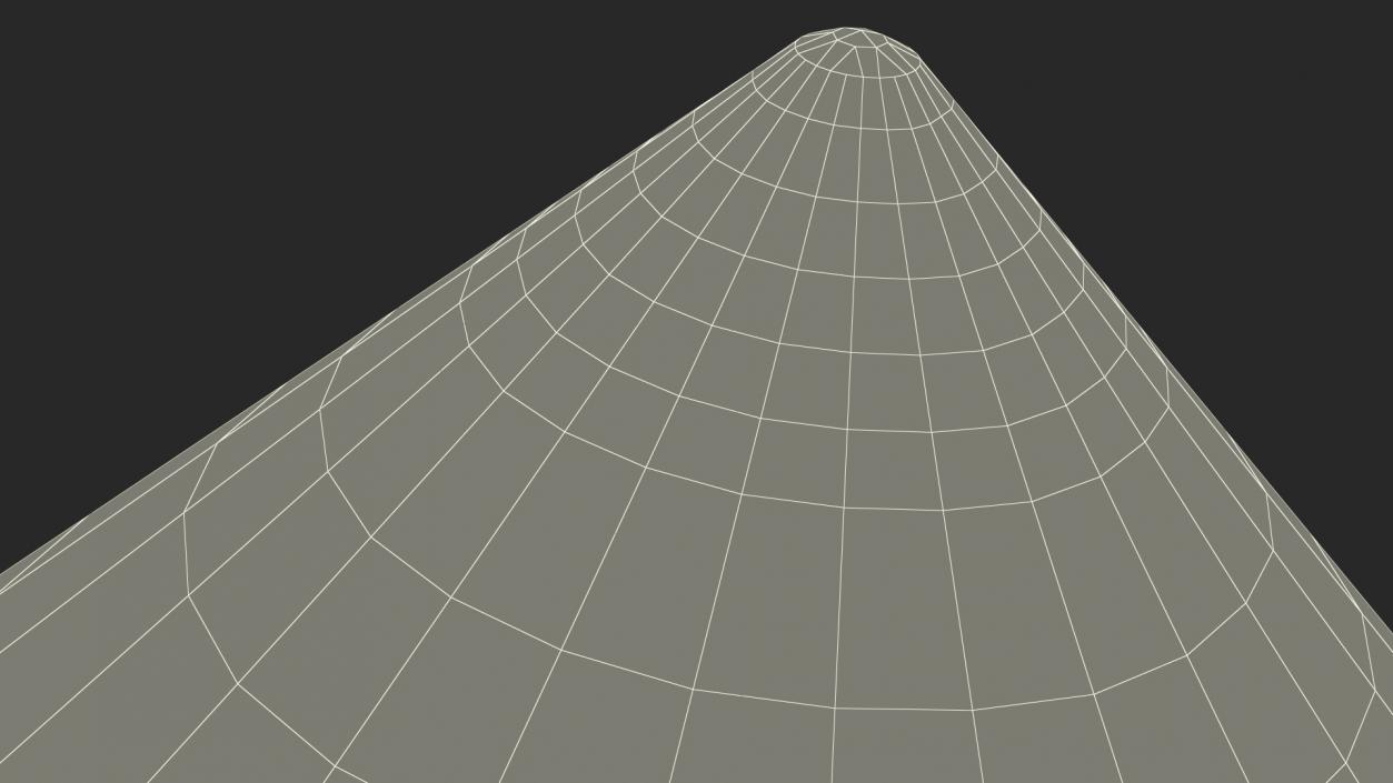 Asian Conical Hat 3D