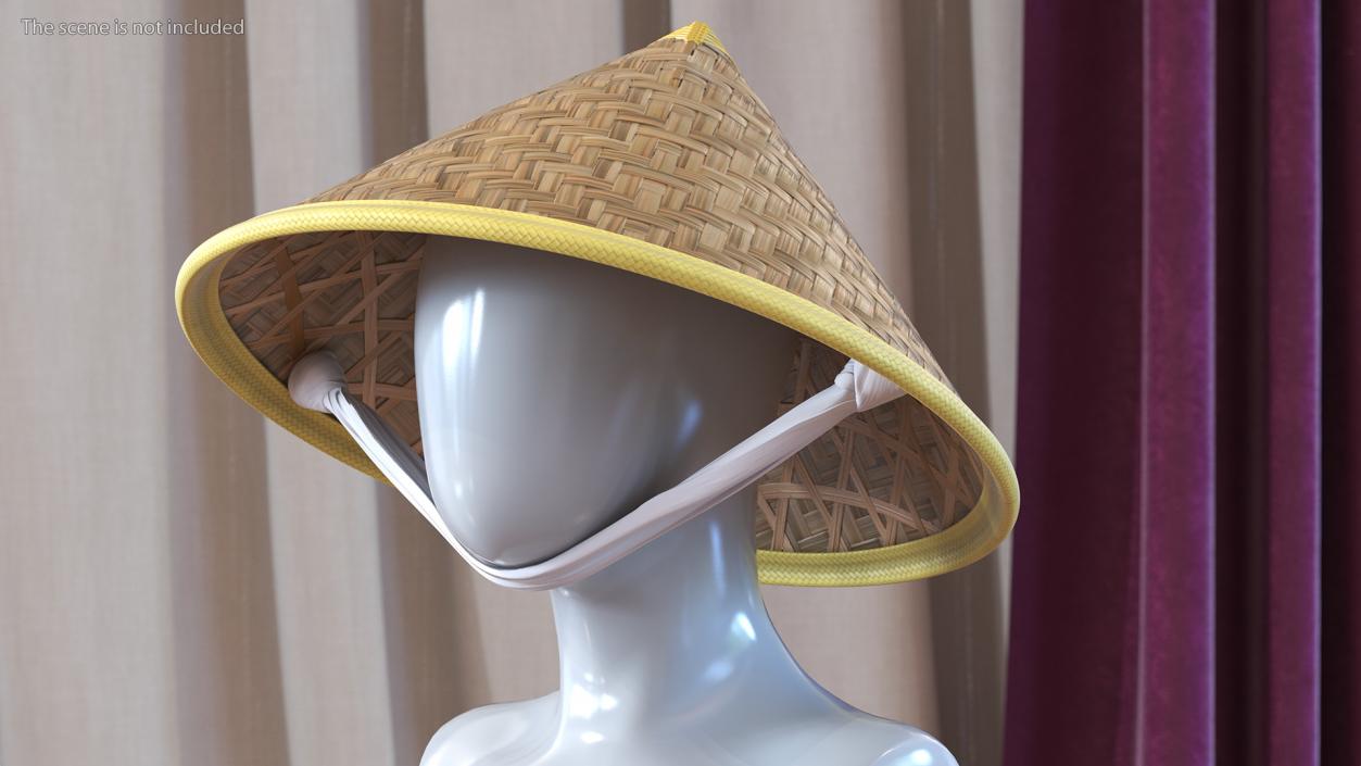 Asian Conical Hat 3D