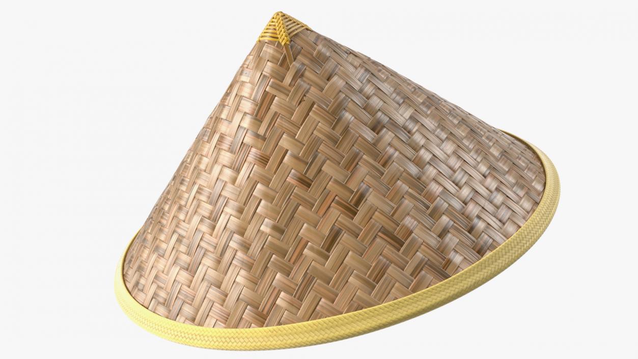 Asian Conical Hat 3D