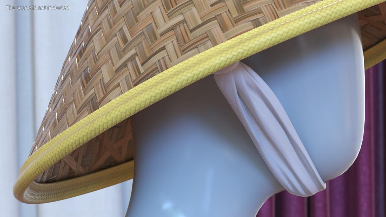 Asian Conical Hat 3D