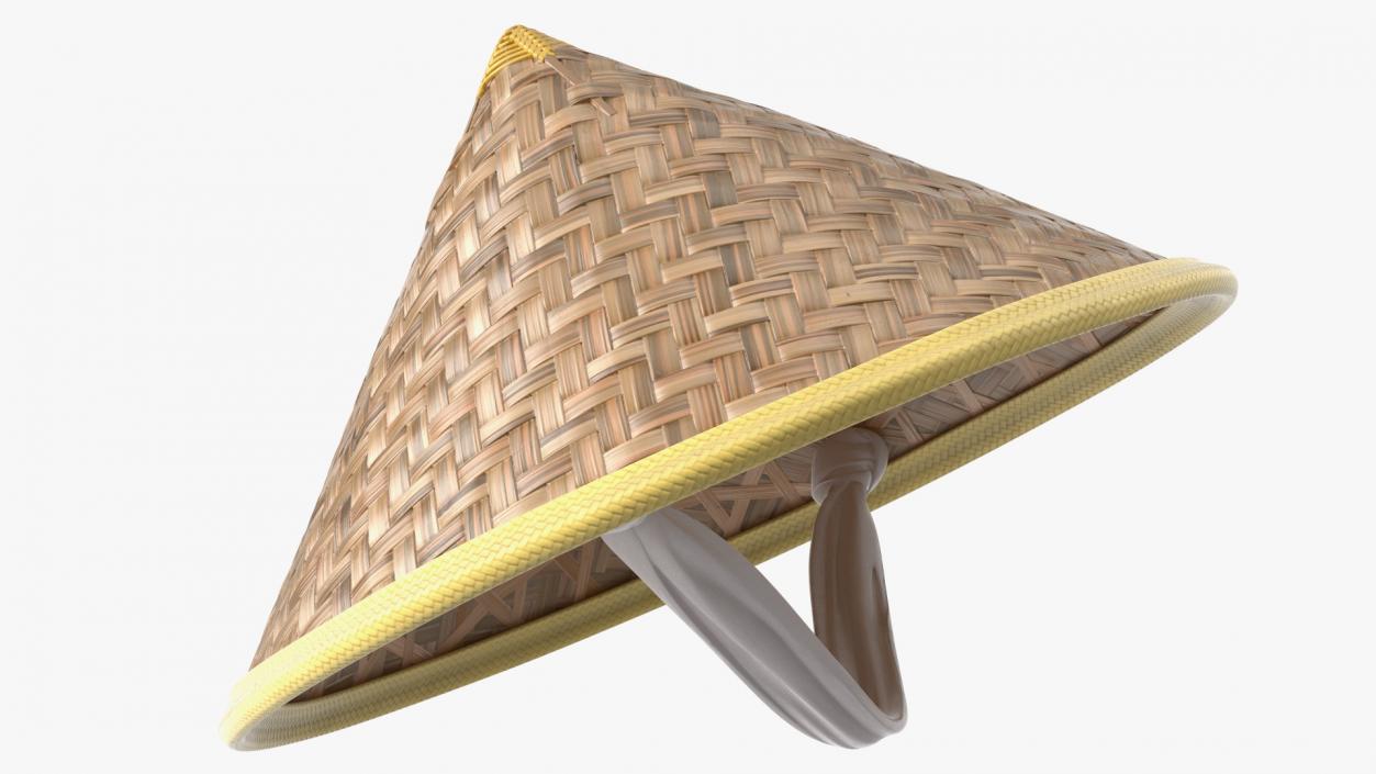 Asian Conical Hat 3D