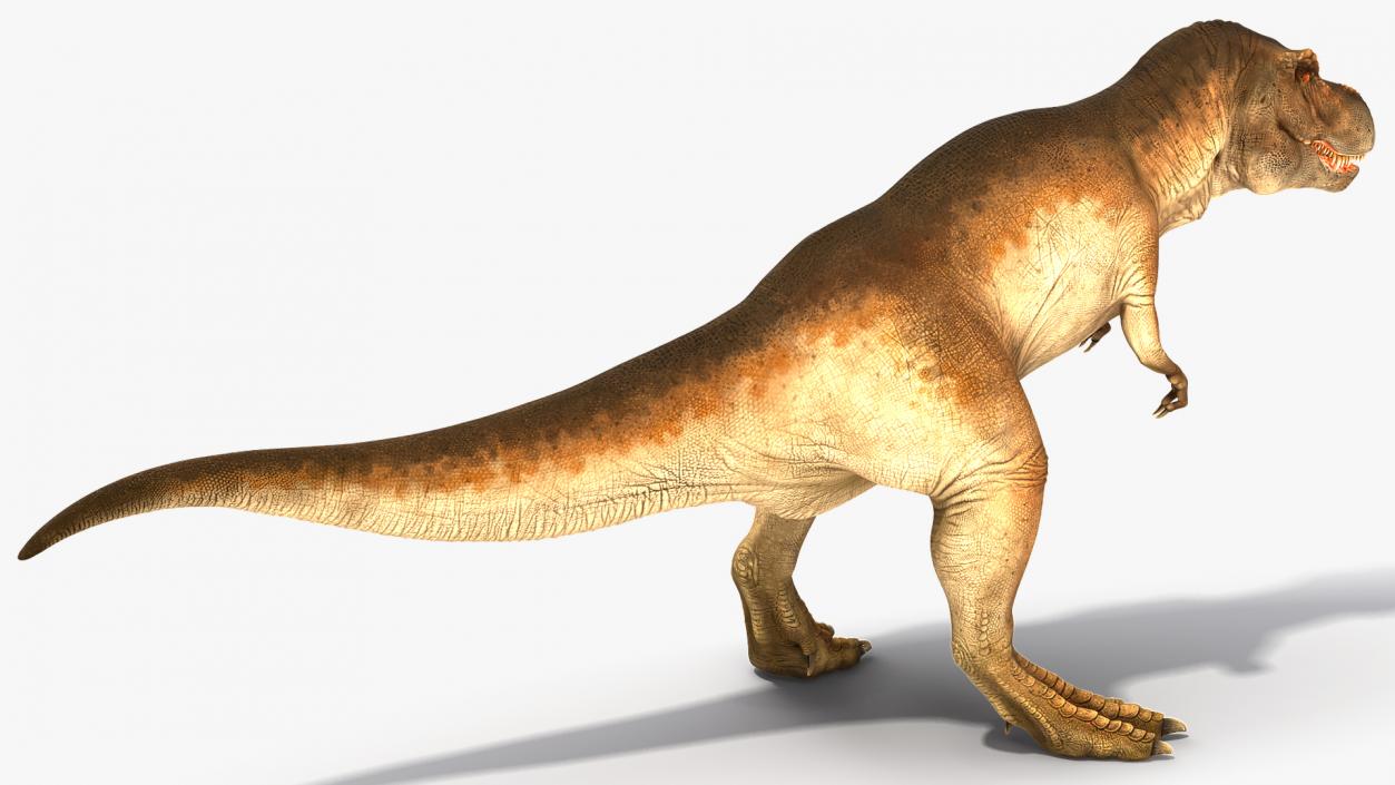 3D Animated Tyrannosaurus Rex Roaring Rigged