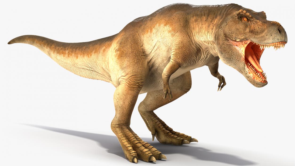 3D Animated Tyrannosaurus Rex Roaring Rigged