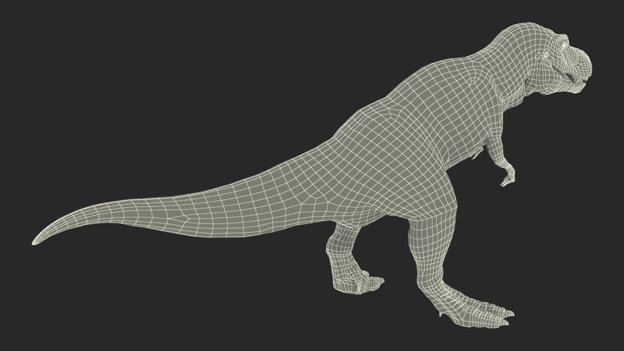 3D Animated Tyrannosaurus Rex Roaring Rigged