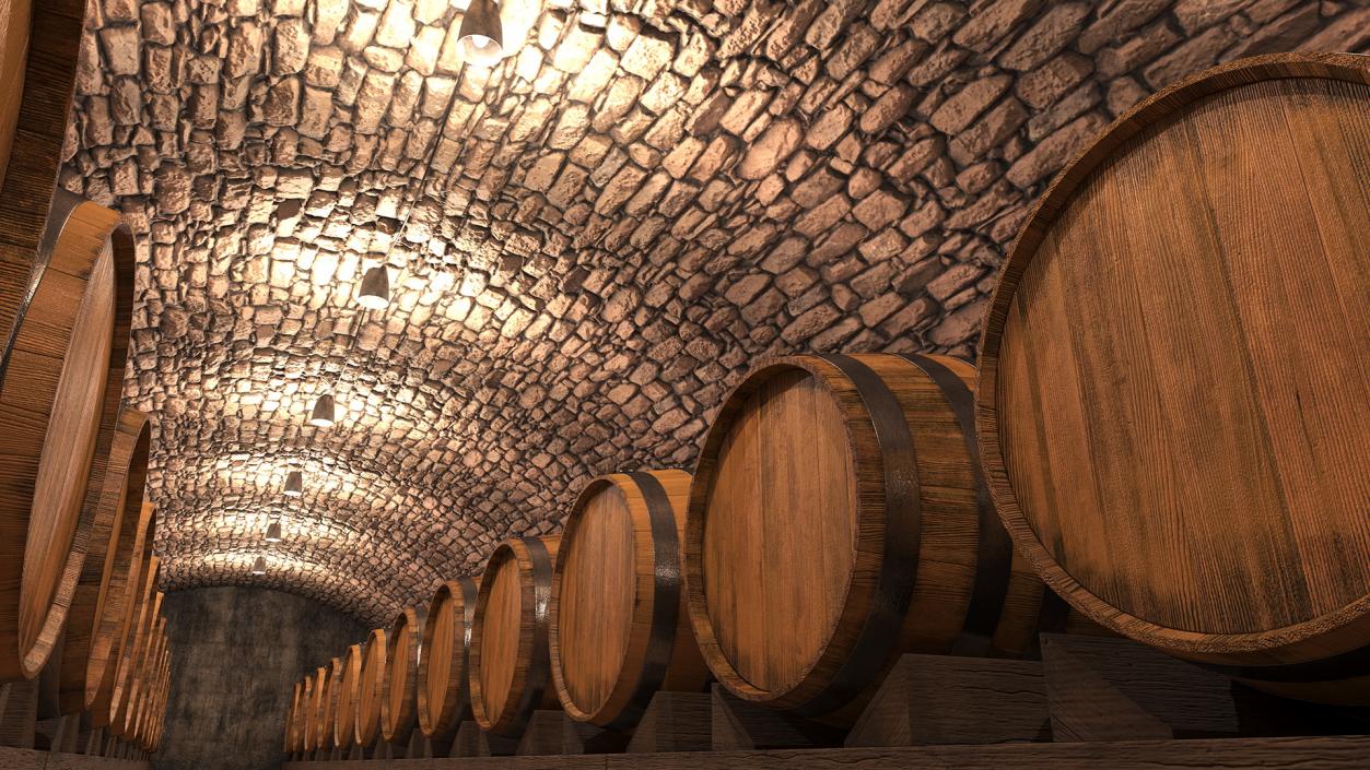 Old Wine Cellar Interior 3D model