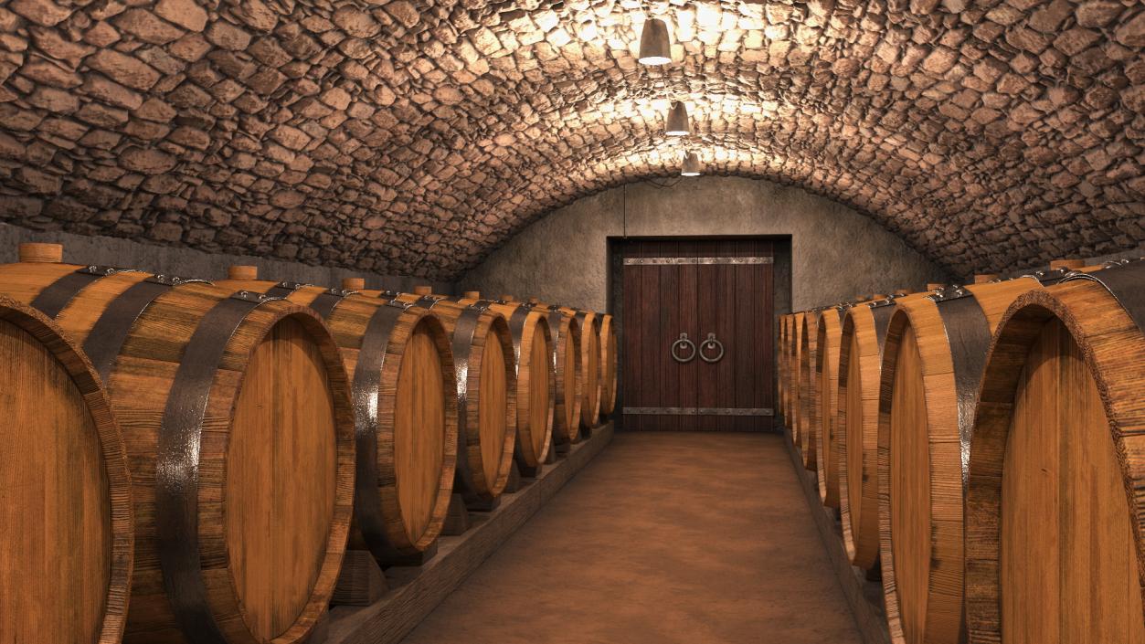 Old Wine Cellar Interior 3D model