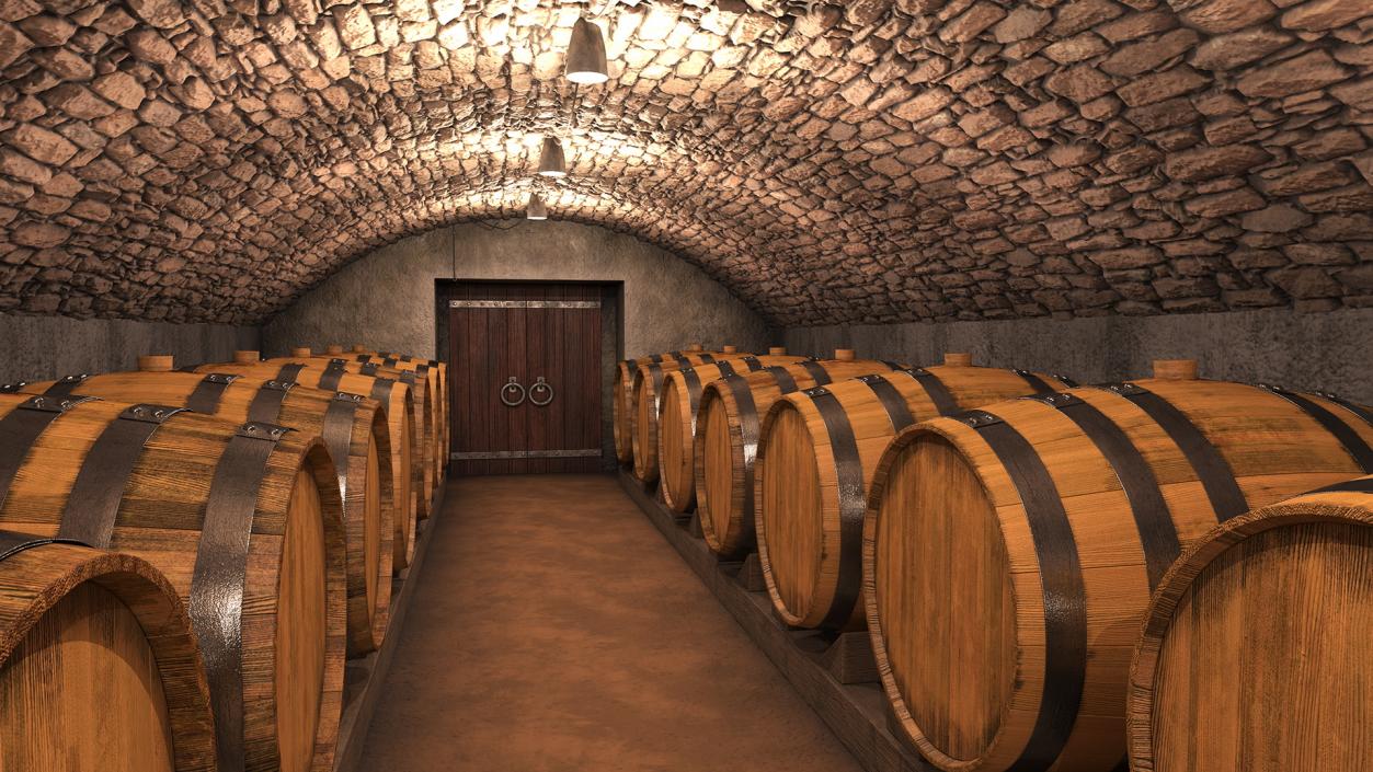 Old Wine Cellar Interior 3D model