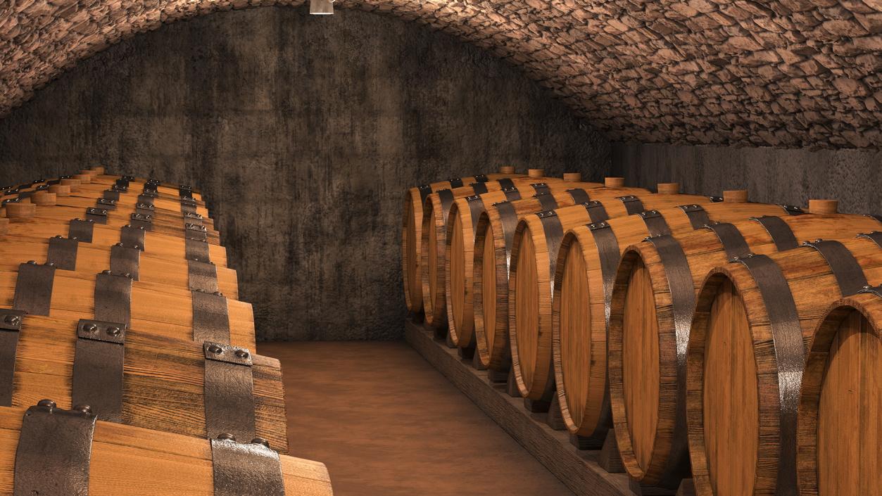 Old Wine Cellar Interior 3D model