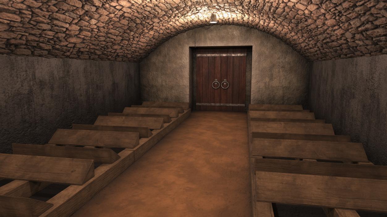 Old Wine Cellar Interior 3D model