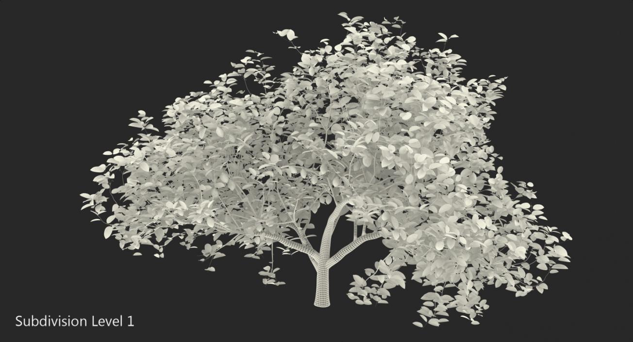 3D model Lemon Tree