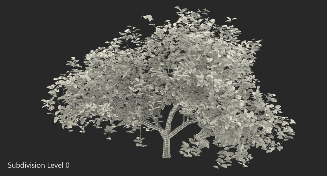 3D model Lemon Tree