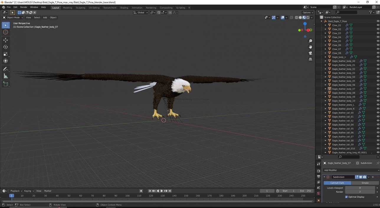 Bald Eagle T Pose 3D