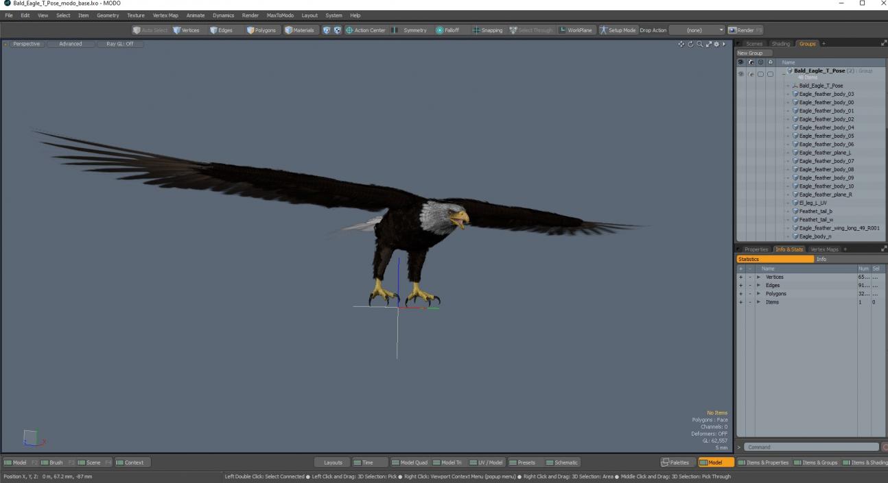 Bald Eagle T Pose 3D