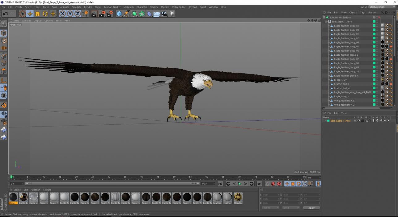 Bald Eagle T Pose 3D