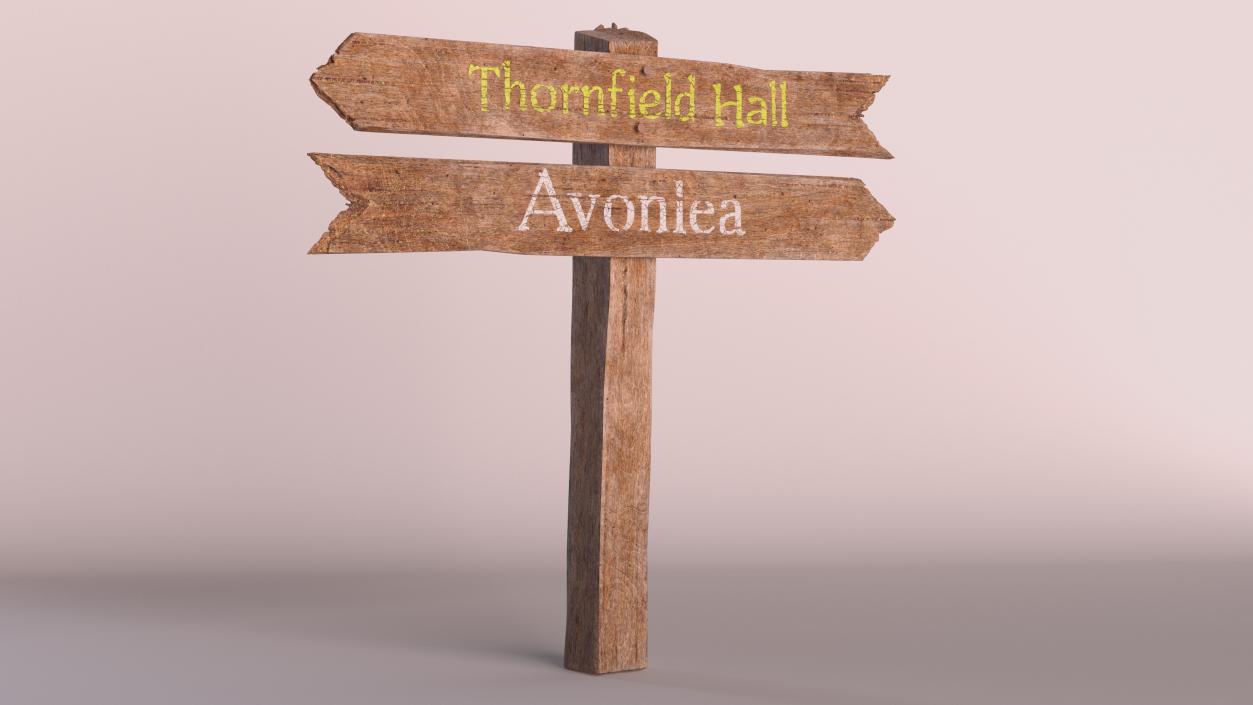 Old Wooden Direction Pointer Signpost 3D