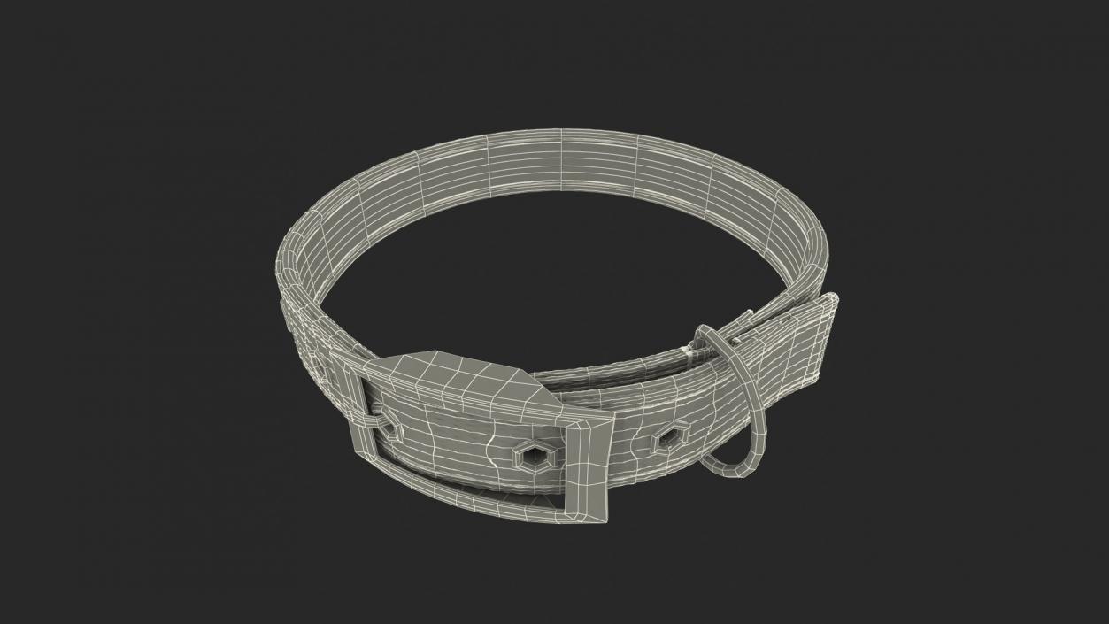 Dog Collars Collection 4 3D model