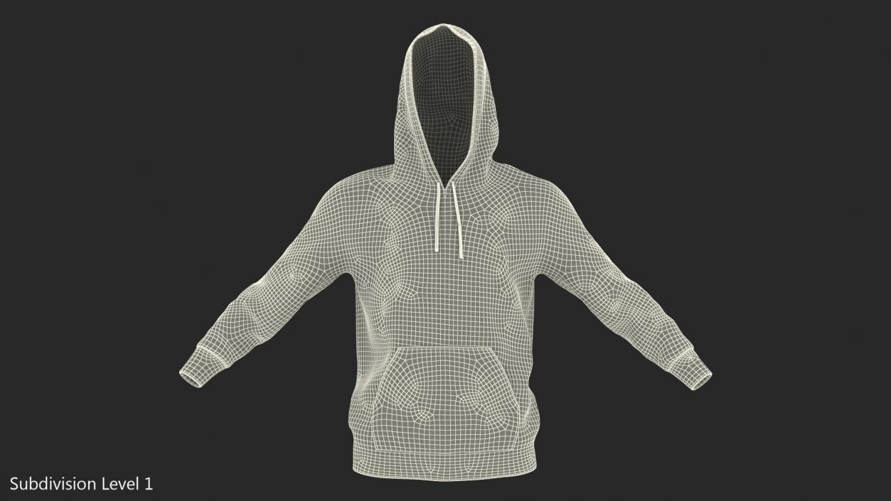 3D Grey Hoodie Nike Raised Hood model