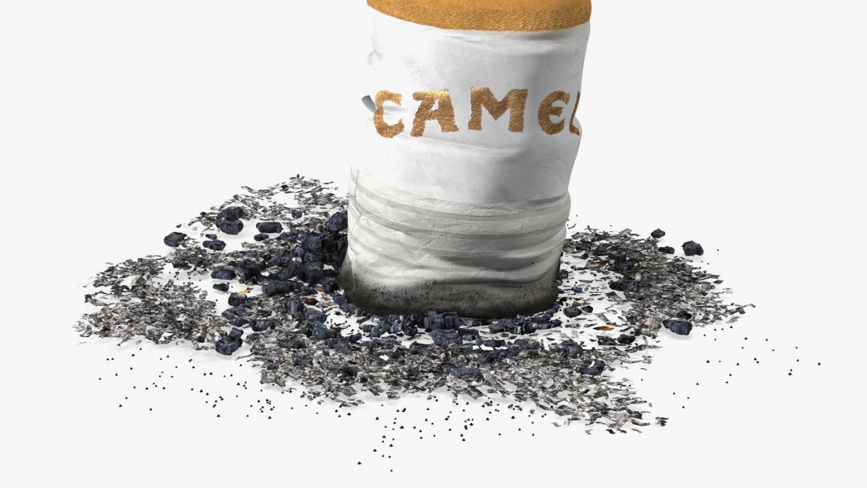 Extinguishing Cigarette Camel 3D model