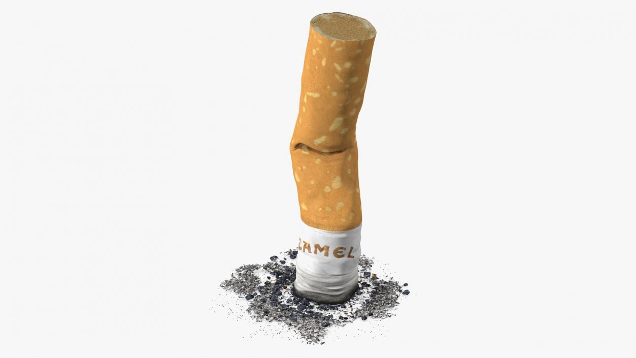 Extinguishing Cigarette Camel 3D model