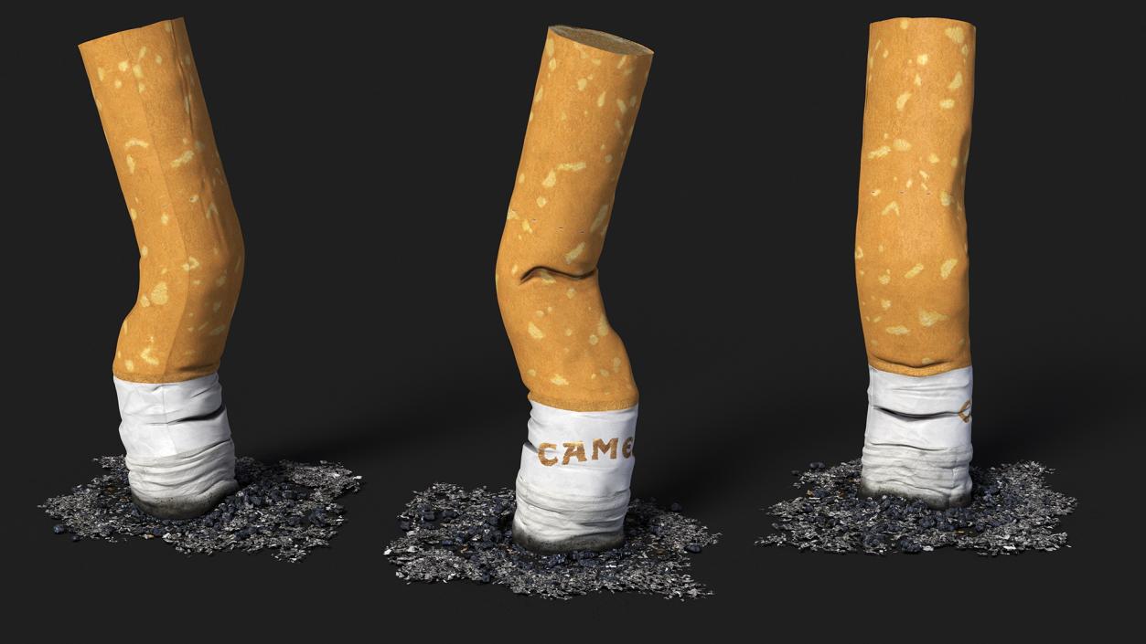 Extinguishing Cigarette Camel 3D model