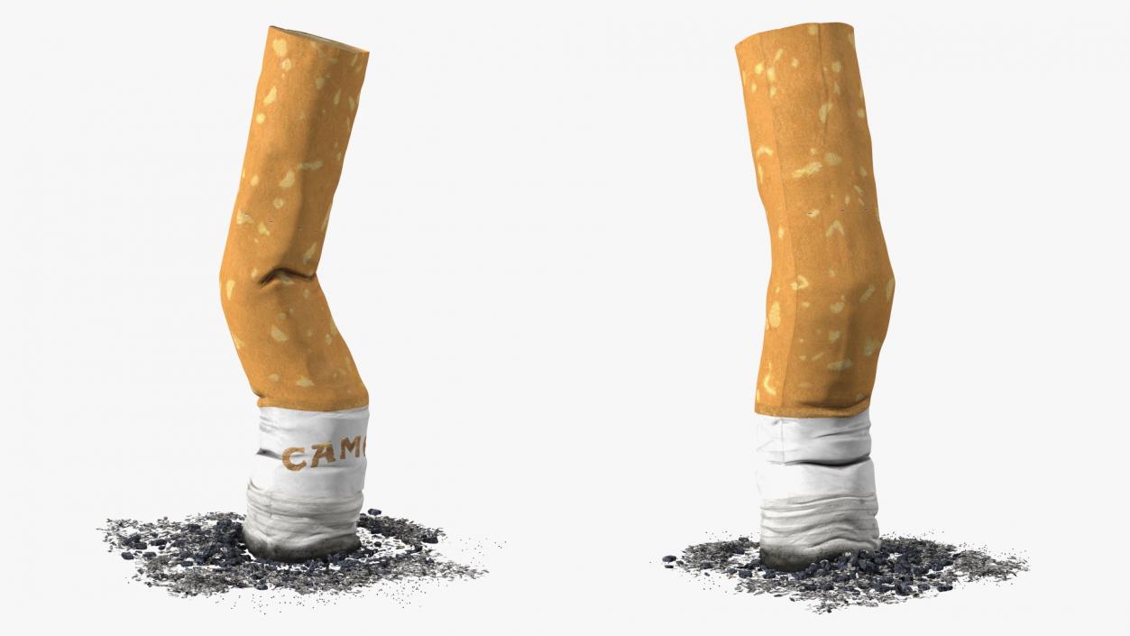 Extinguishing Cigarette Camel 3D model