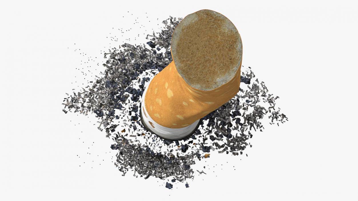 Extinguishing Cigarette Camel 3D model