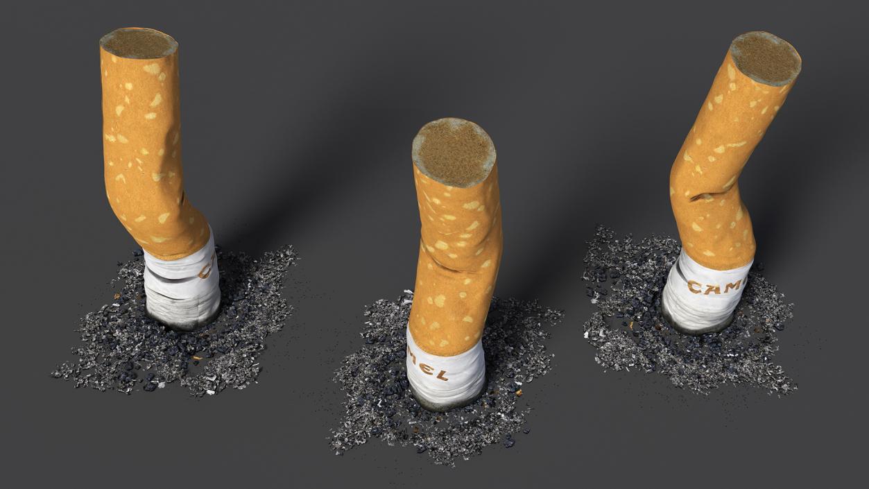 Extinguishing Cigarette Camel 3D model