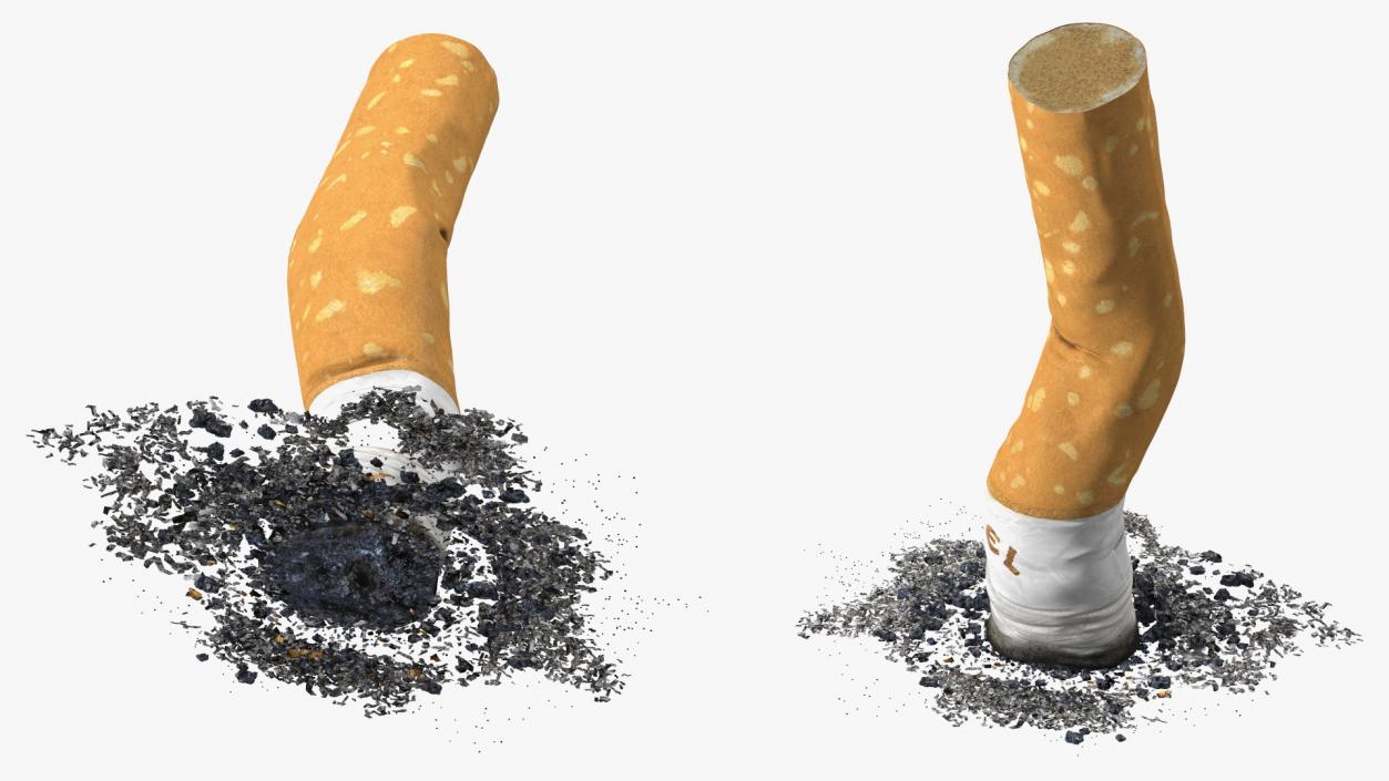 Extinguishing Cigarette Camel 3D model