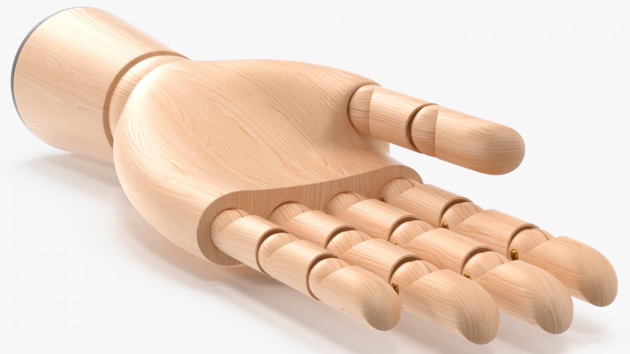 3D Light Wood Hand Rigged for Modo