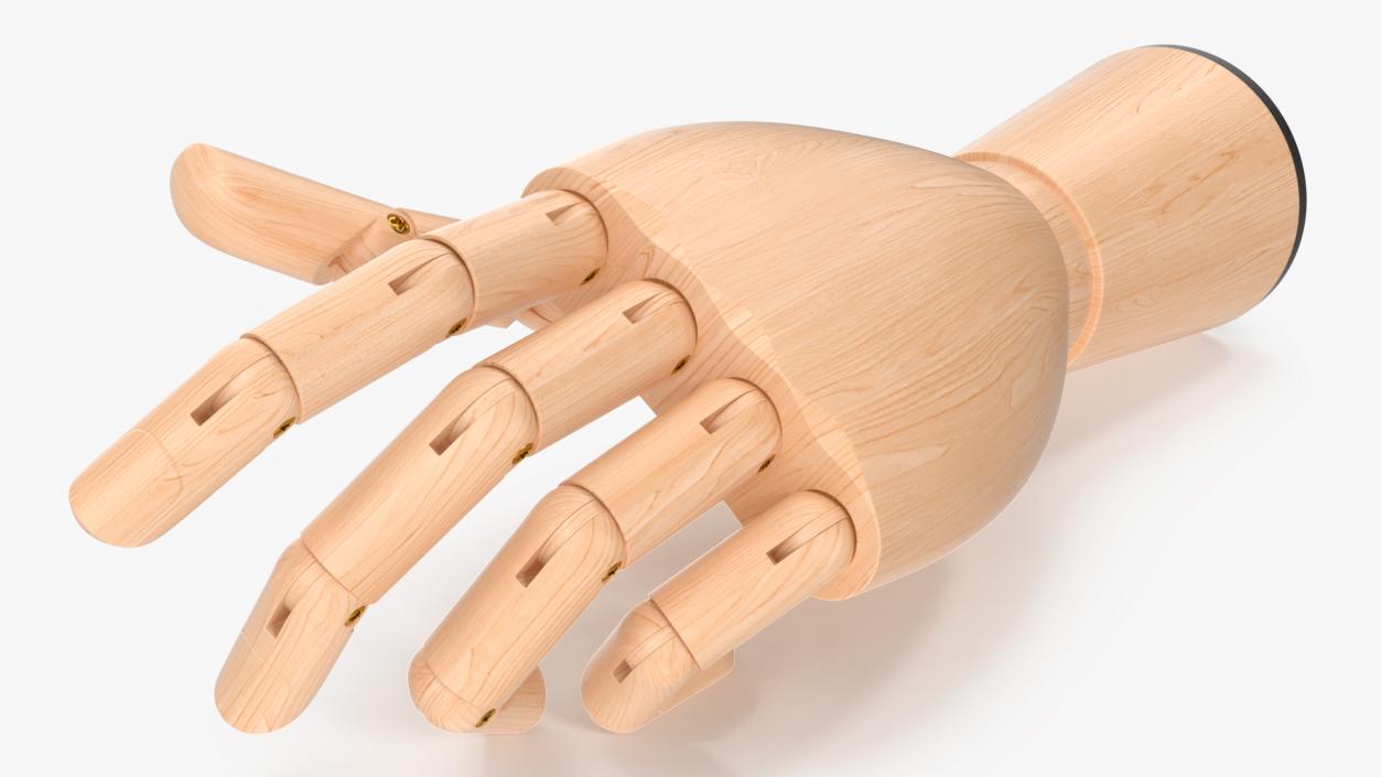 3D Light Wood Hand Rigged for Modo