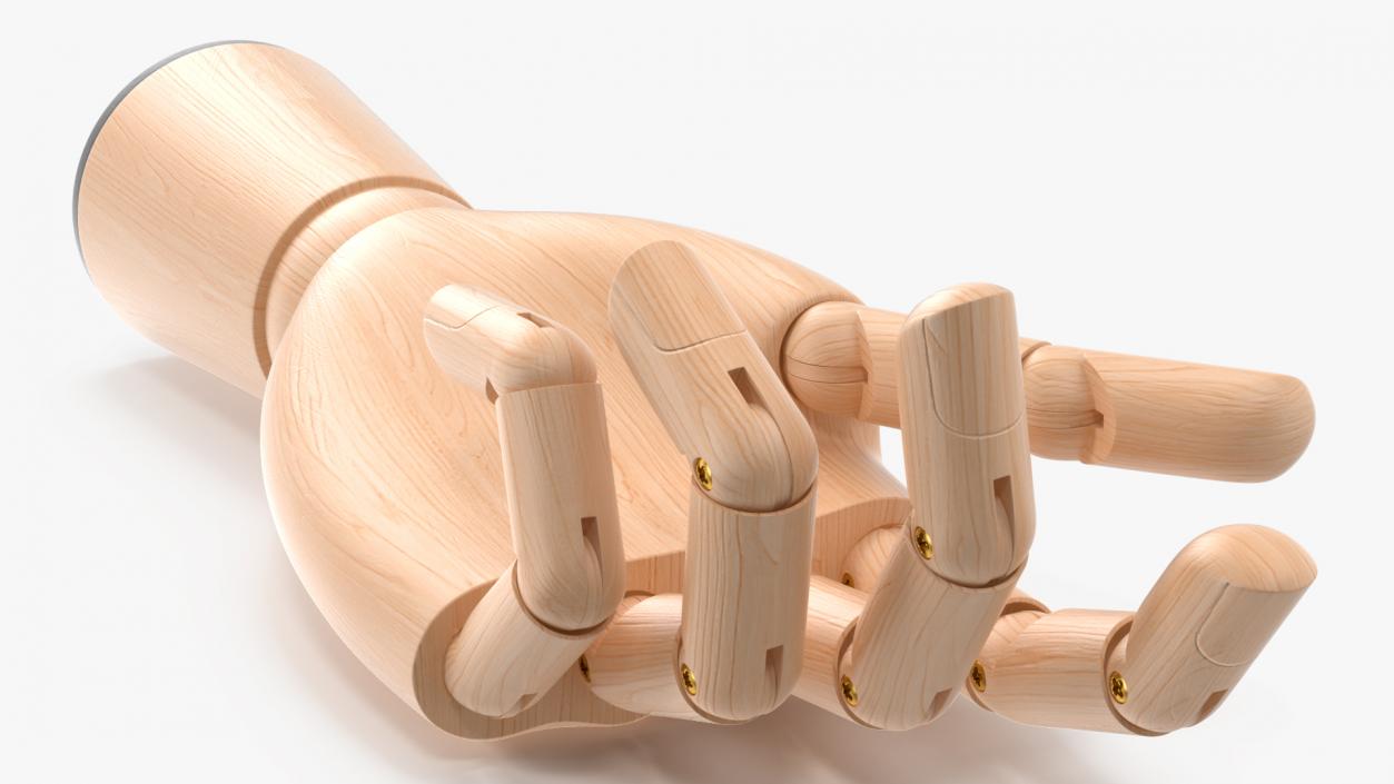 3D Light Wood Hand Rigged for Cinema 4D