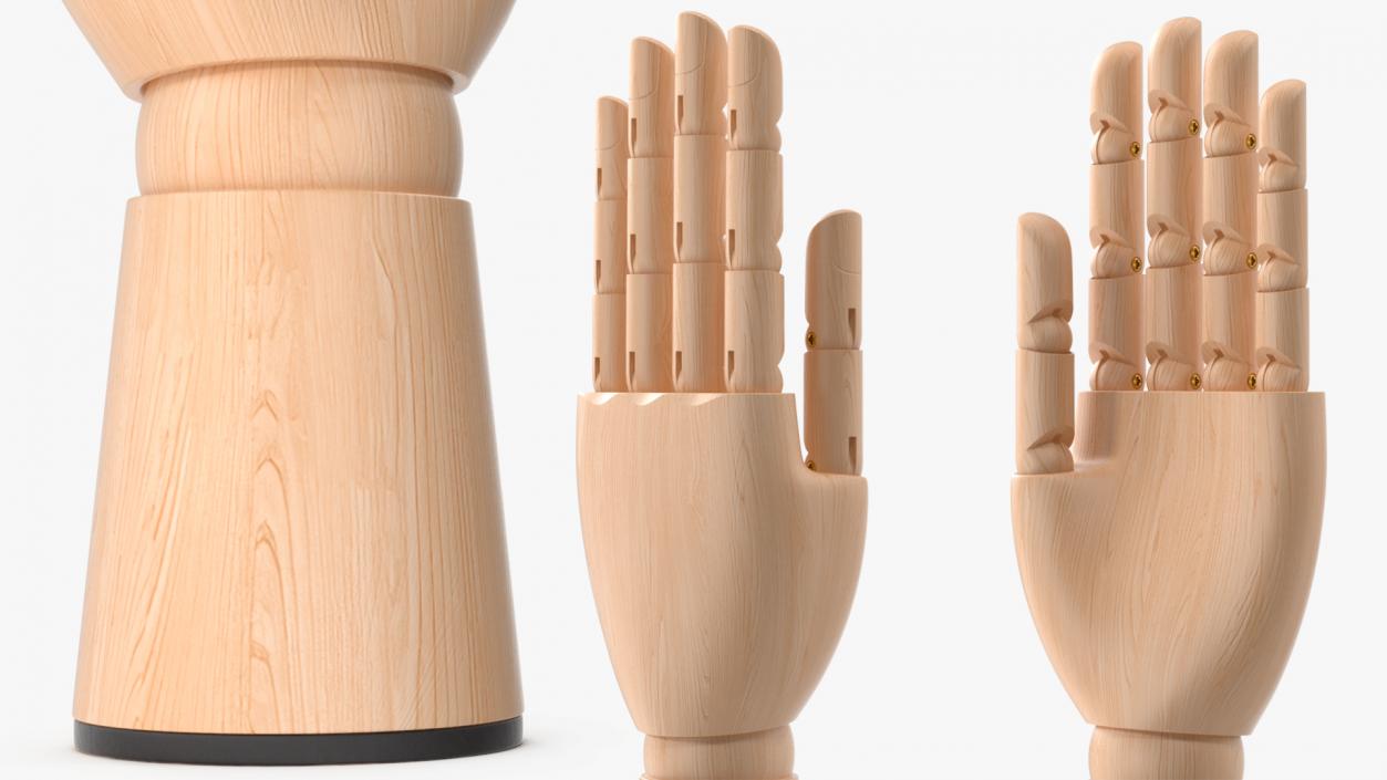 3D Light Wood Hand Rigged for Modo