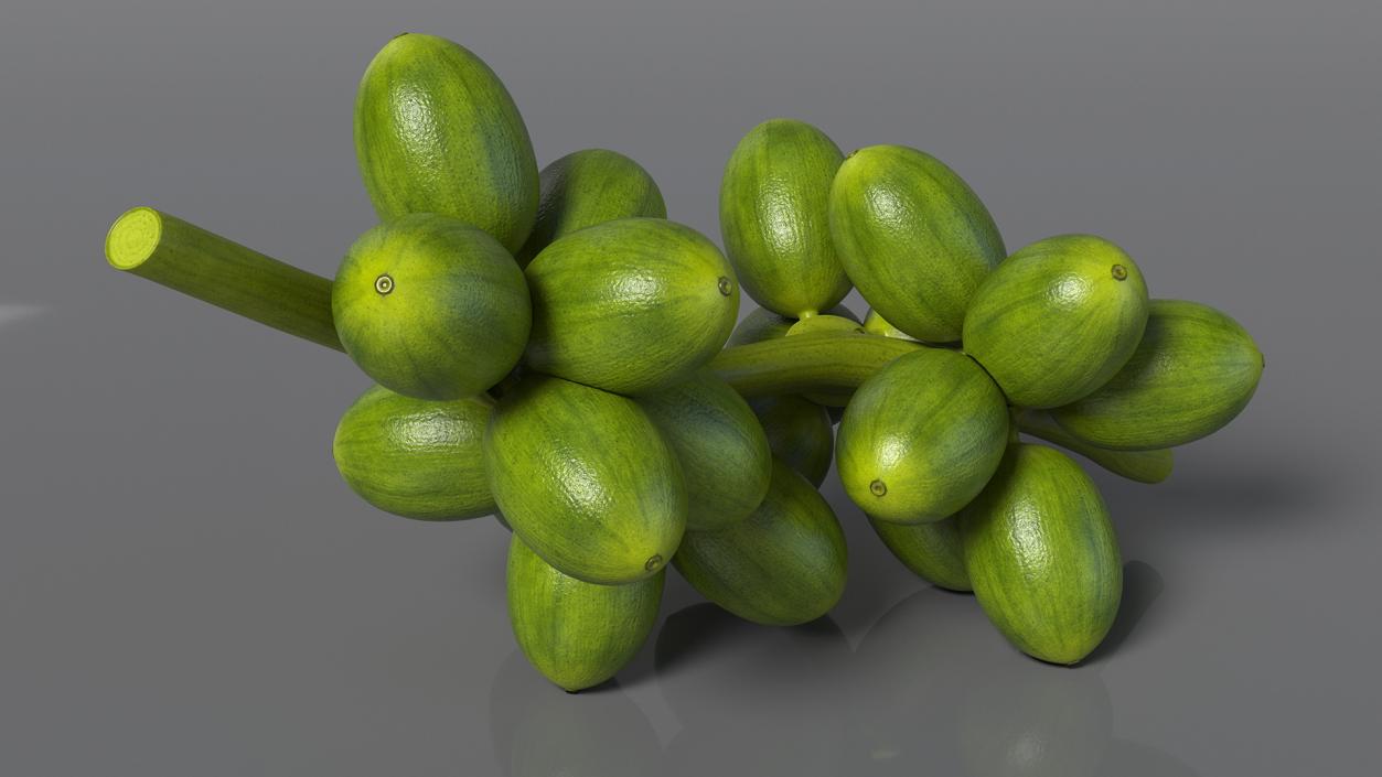 3D Bunch of Fresh Green Coffee Beans model