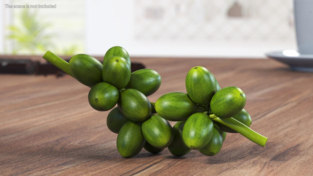 3D Bunch of Fresh Green Coffee Beans model