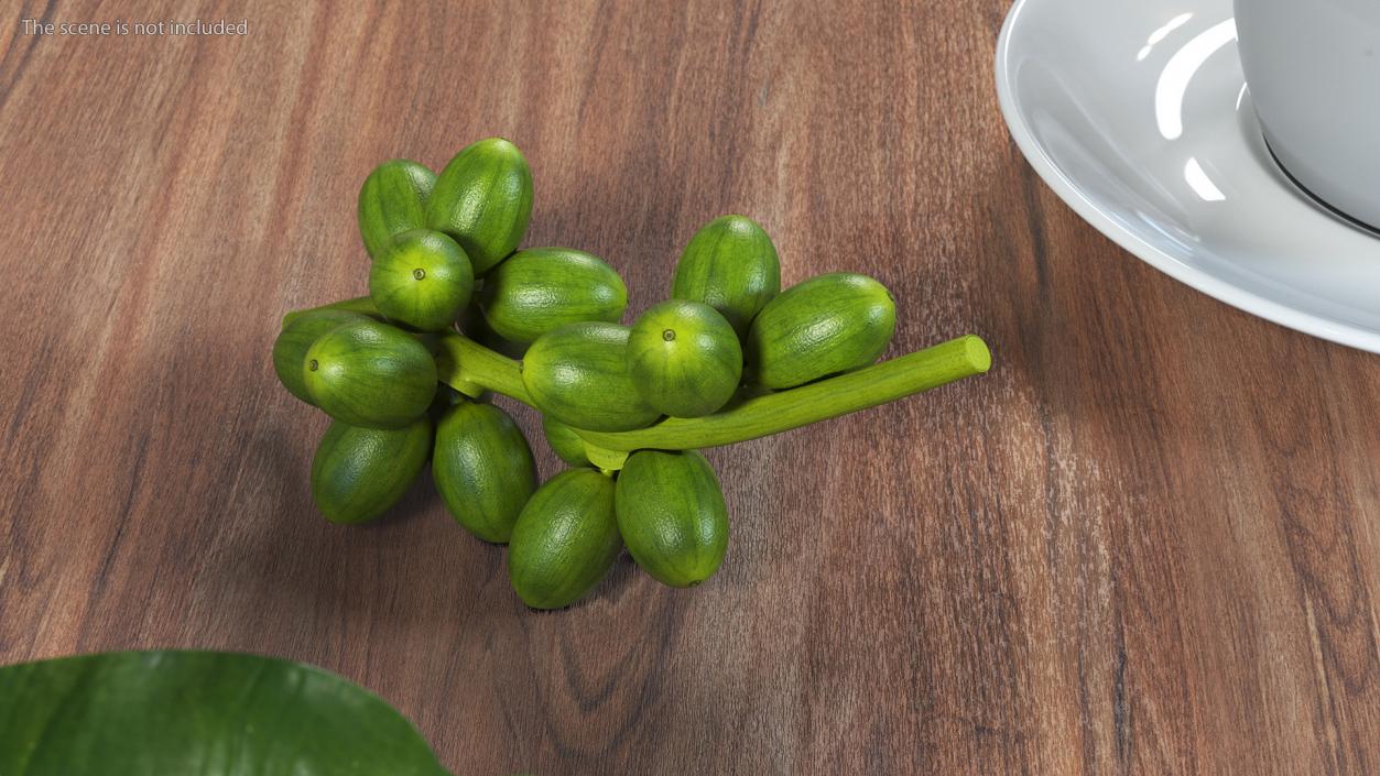 3D Bunch of Fresh Green Coffee Beans model