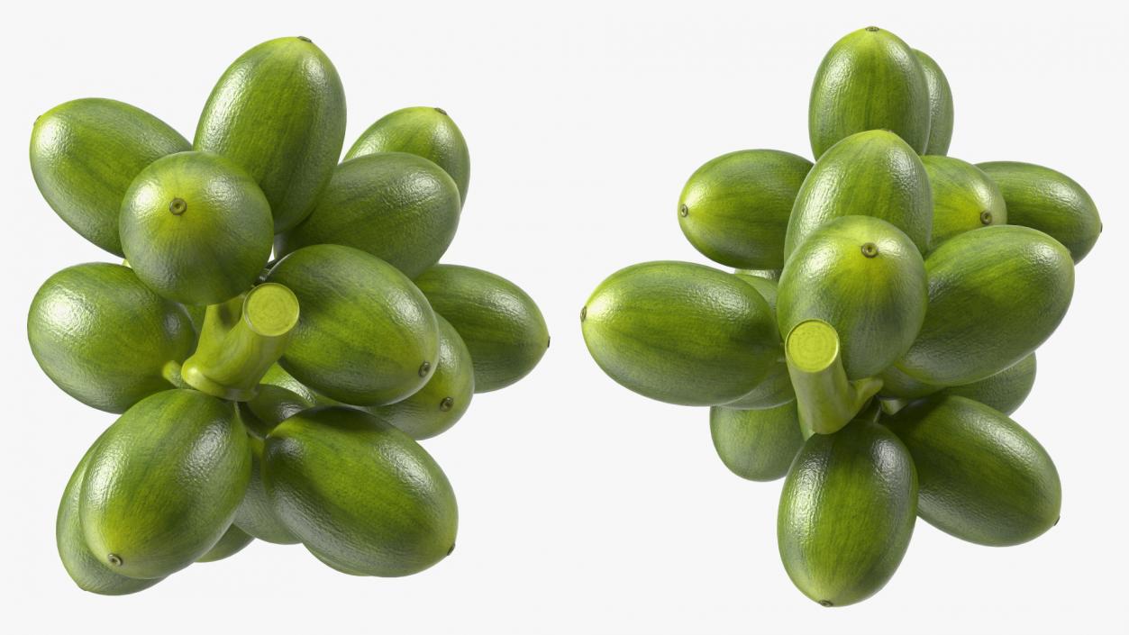 3D Bunch of Fresh Green Coffee Beans model