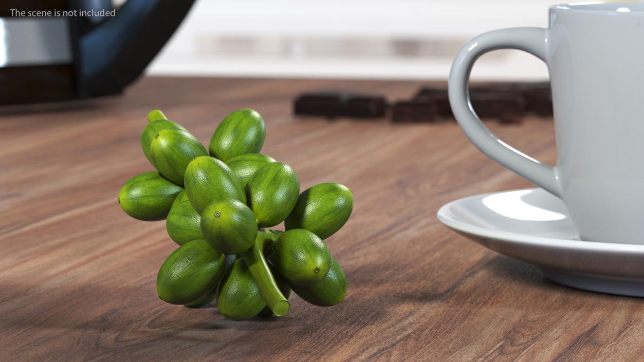 3D Bunch of Fresh Green Coffee Beans model