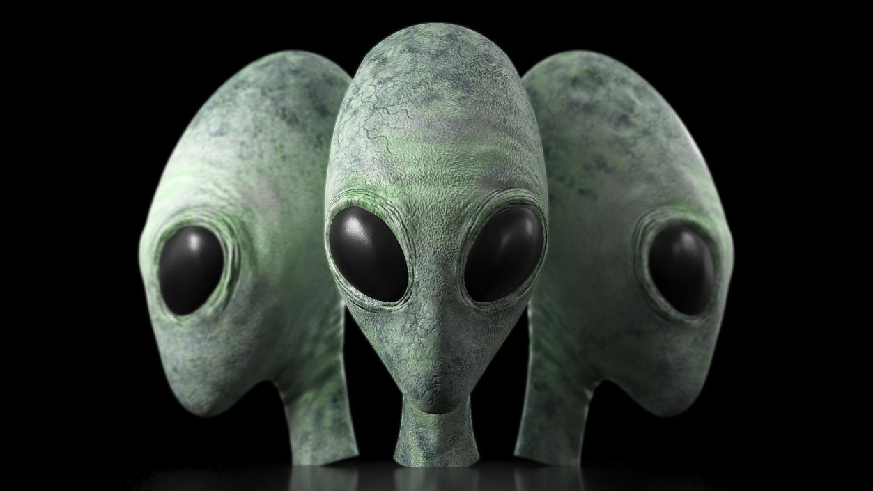 3D Green Alien Head