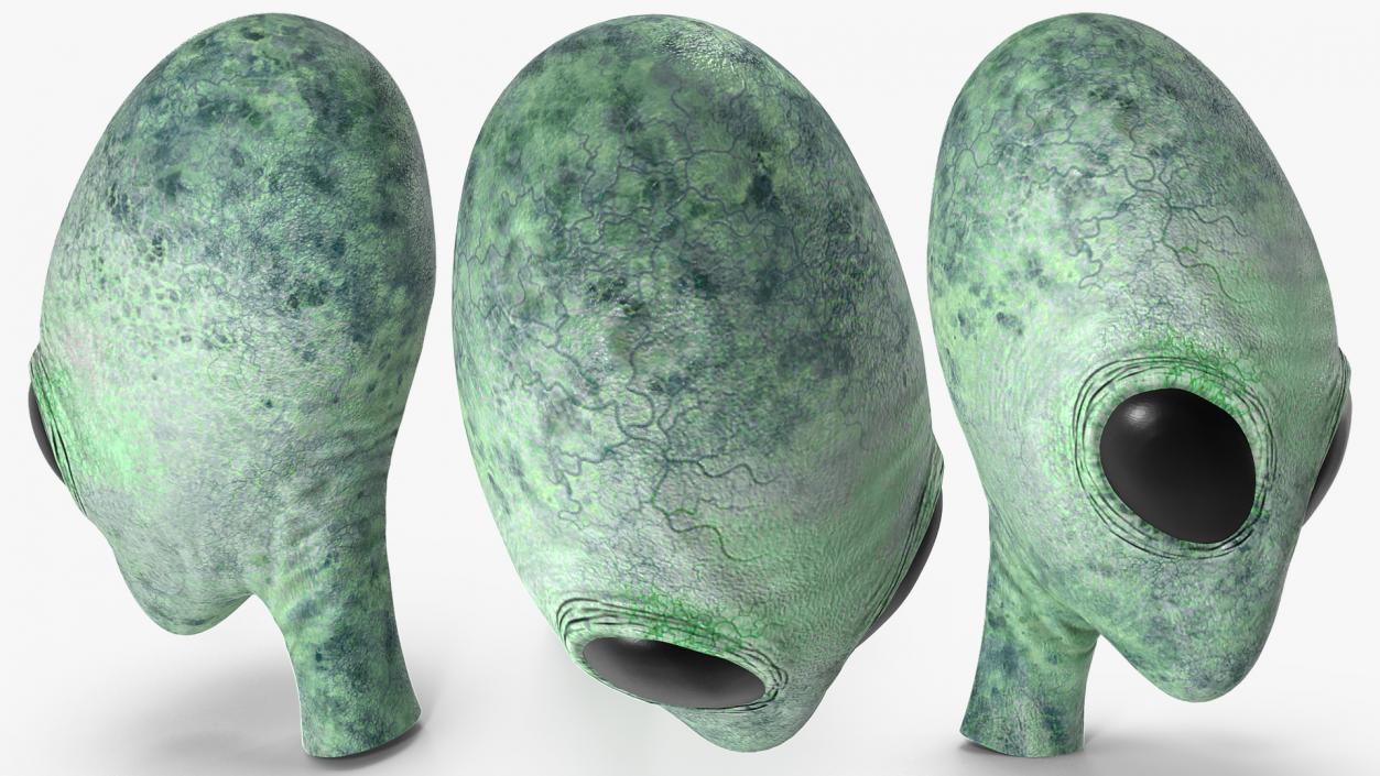 3D Green Alien Head