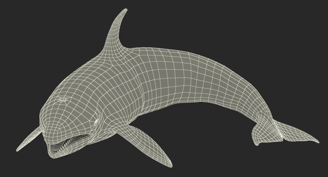 Rigged Whales Collection 3D model