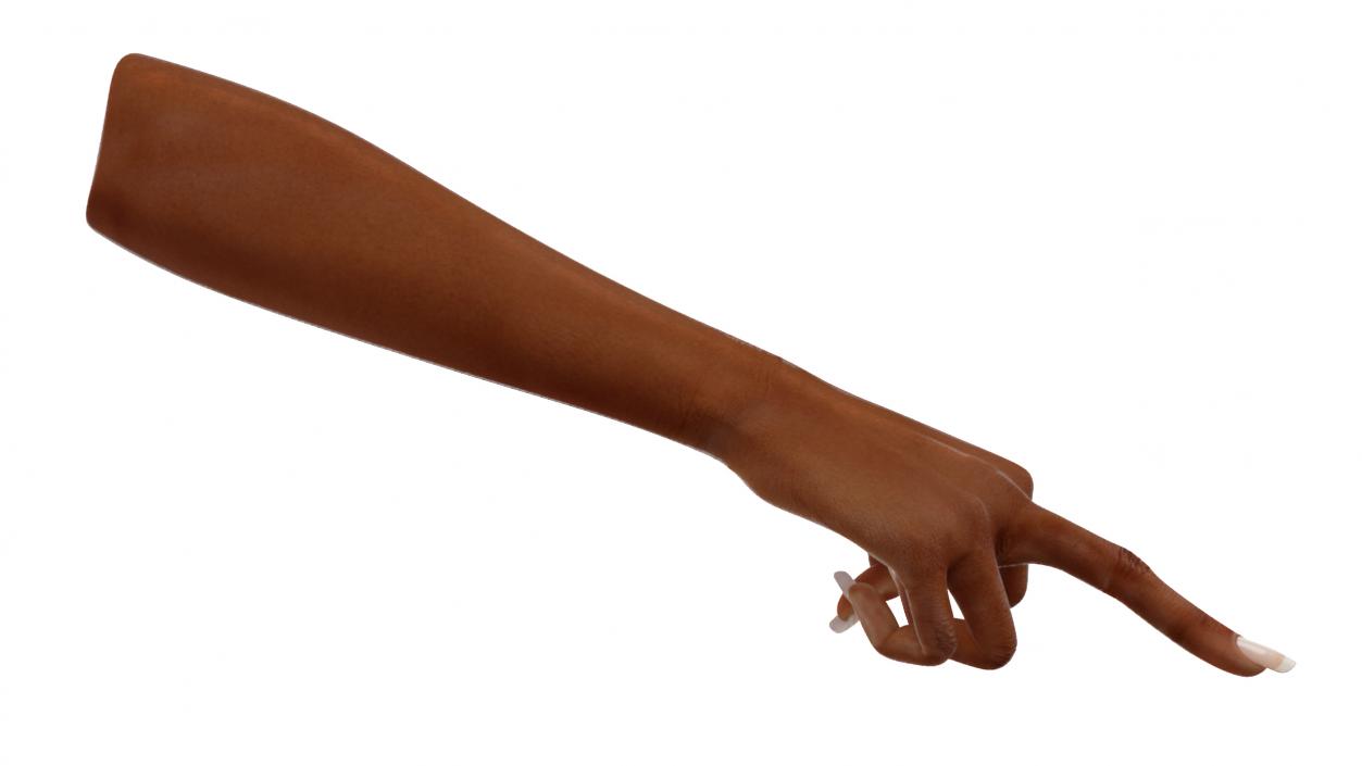 3D model Hand of Dark Skinned Woman Middle Finger Sign