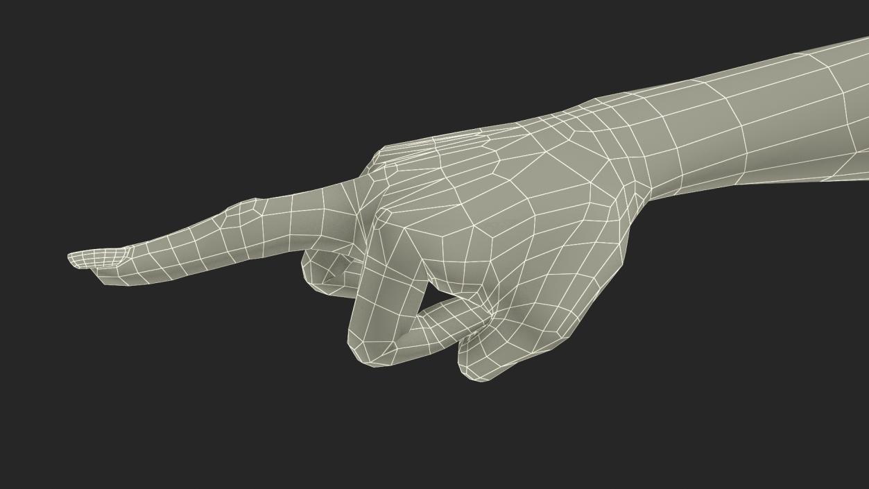 3D model Hand of Dark Skinned Woman Middle Finger Sign