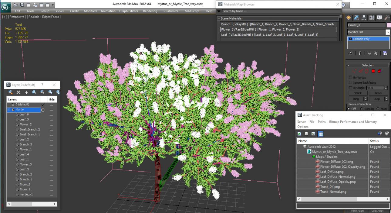 3D Myrtus or Myrtle Tree