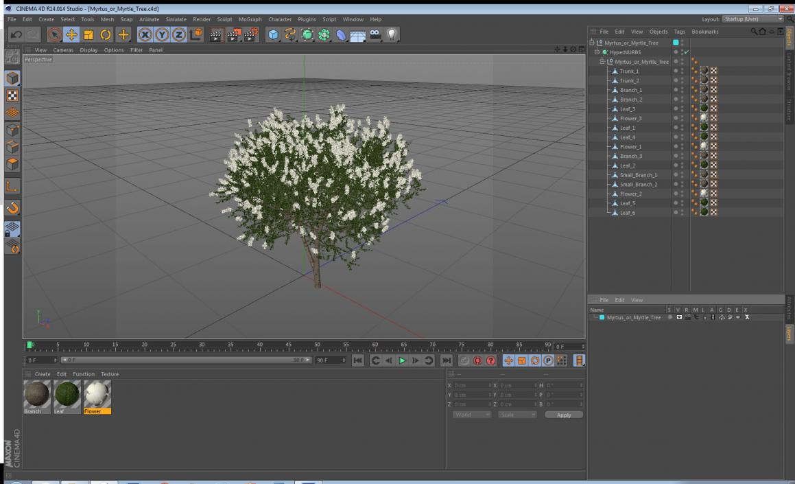 3D Myrtus or Myrtle Tree